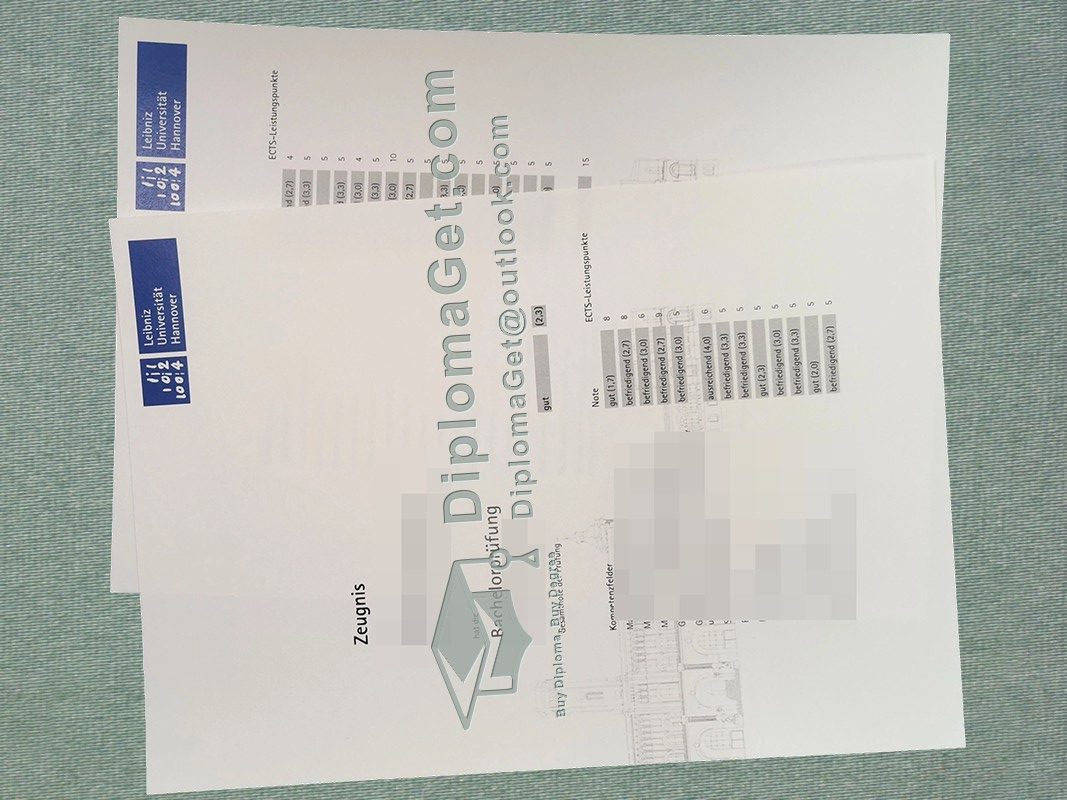 汉诺威莱布尼茨大学成绩单, Leibniz University Hannover Zeugnis