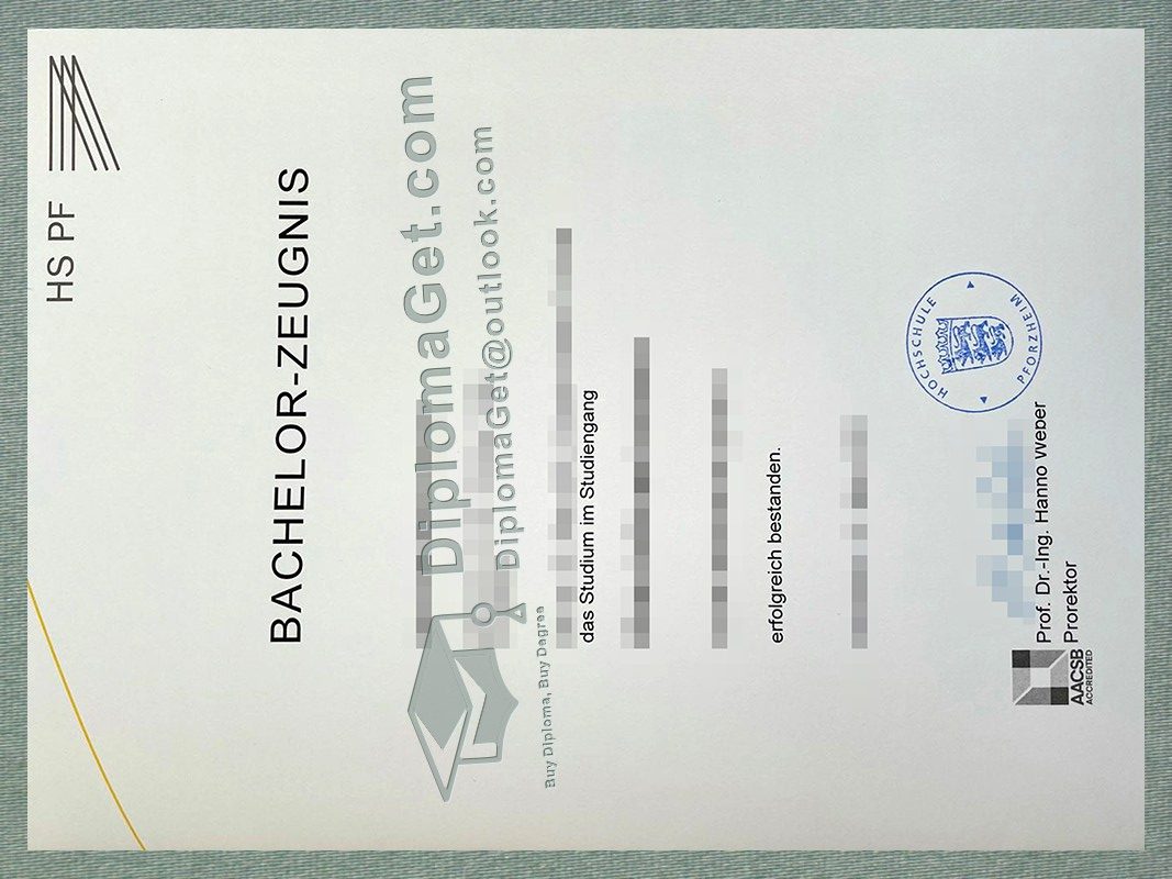 普福尔茨海姆应用科技大学证书, Pforzheim University Urkunde