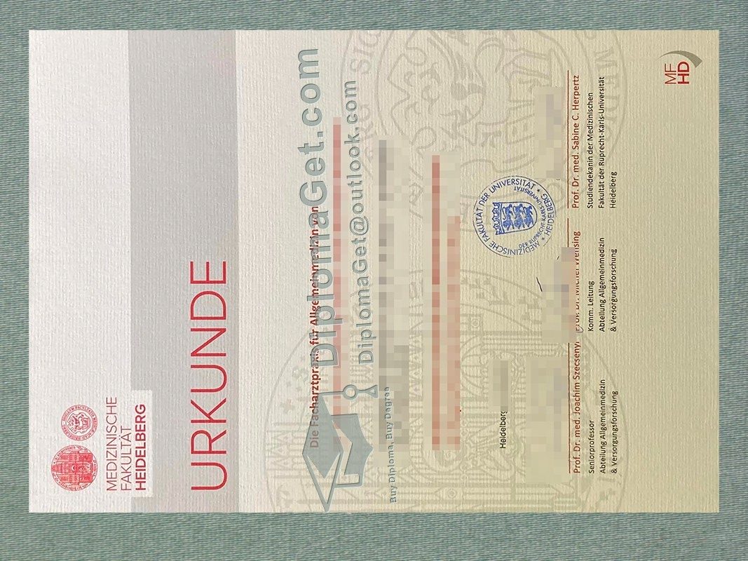 海德堡工业大学证书, Ruprecht-Karls-Universität Heidelberg urkunde